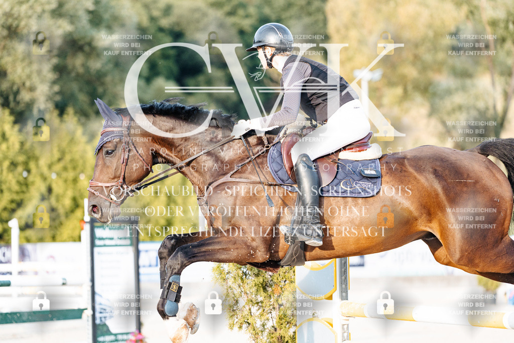CK900951 | Turnierfotografie Pferdefotografie Trier Rheinland-Pfalz Pferdesport Reitsport Tierfotografie Sportfotografie Pferdevideo Pferdevideografie Equestrianvideography equestrianphotography  - Realisiert mit Pictrs.com