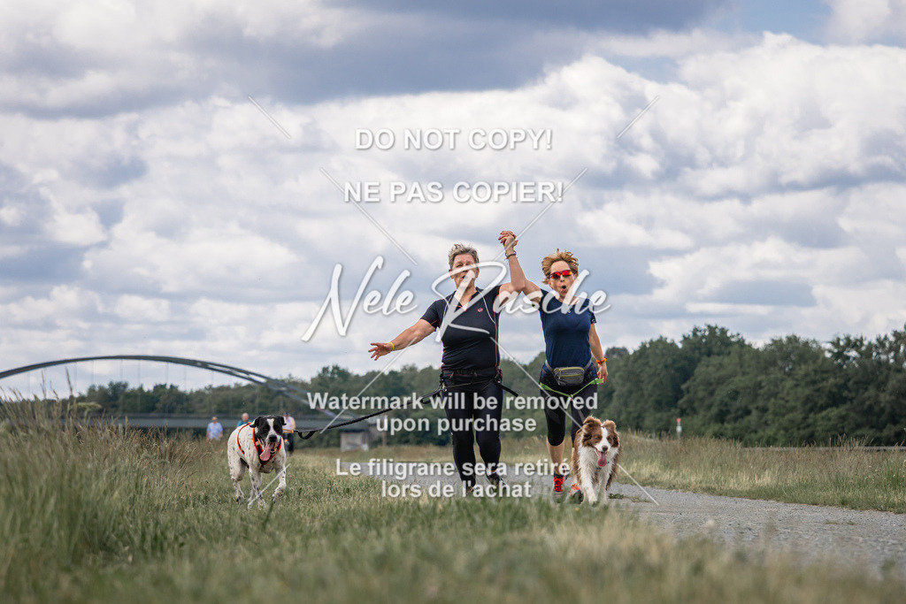 nelerasche_BuHu2026_SaCC1100-1200_150 | nelerasche