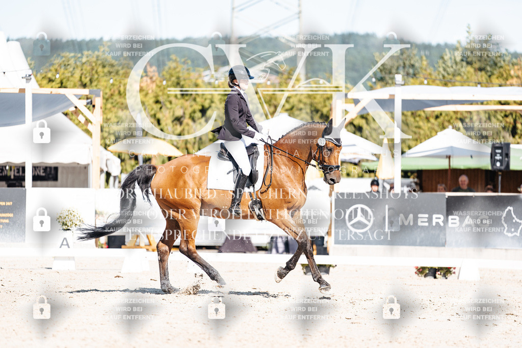 CK908180 | Turnierfotografie Pferdefotografie Trier Rheinland-Pfalz Pferdesport Reitsport Tierfotografie Sportfotografie Pferdevideo Pferdevideografie Equestrianvideography equestrianphotography  - Realisiert mit Pictrs.com
