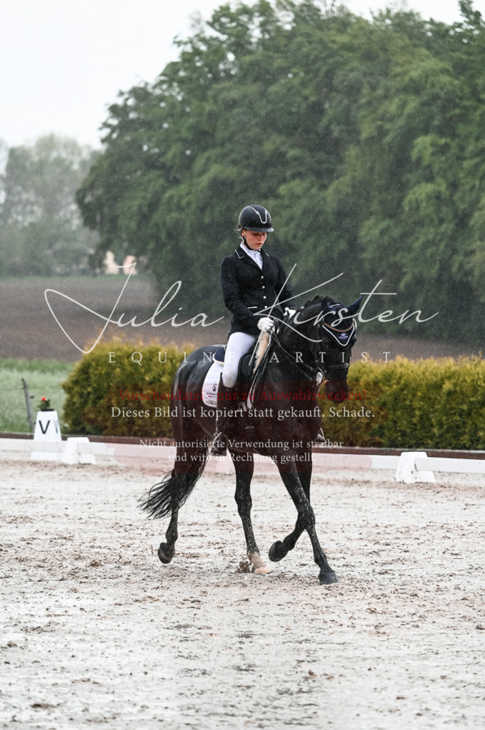 DSC_4714 | Pferde- und Turnierfotografie in Westsachsen. Pferdeportraits, Auftragszeichnungen und intuitive Kunst.