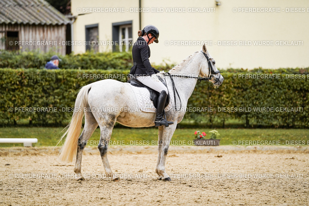 DSC07837 | Pferdegrafie