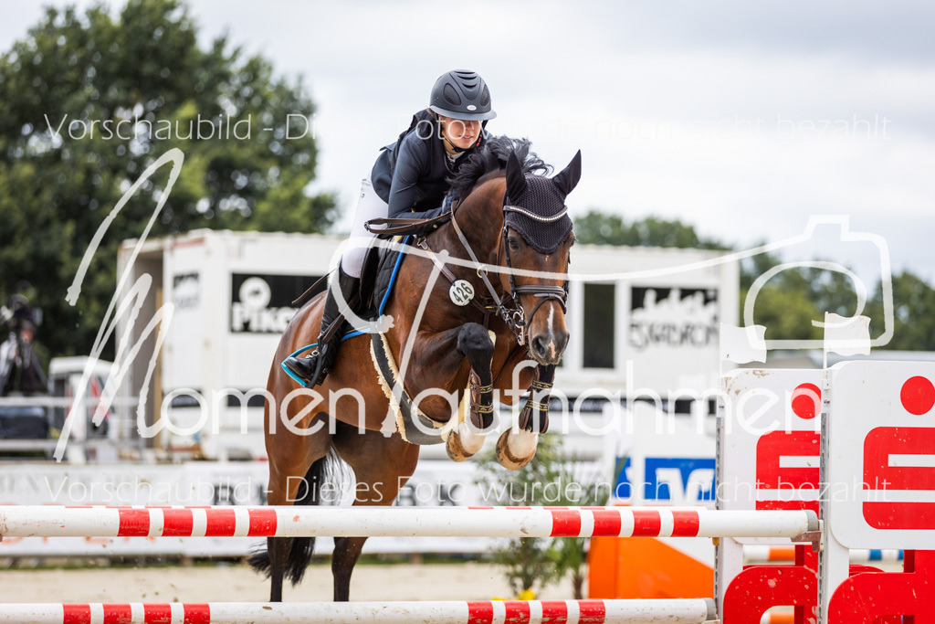 BHO-2PhSpr-M-5-2244 | MomenTaufnahmen Pferdesportfotos