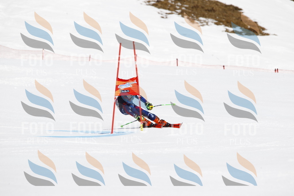 _U3G4159 | holidayphoto