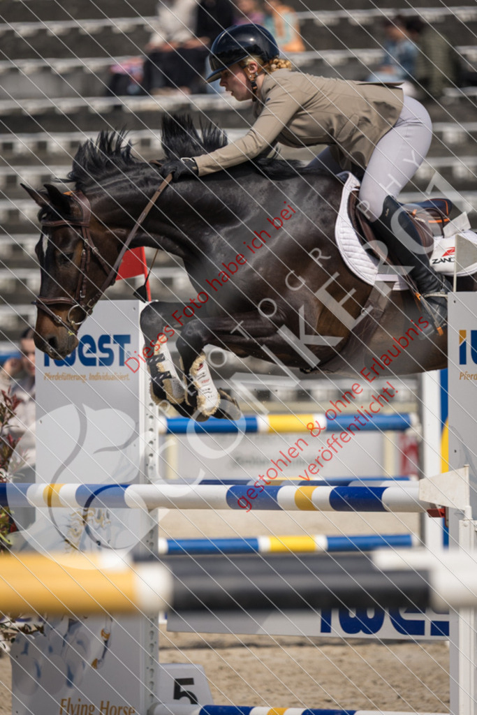 IMG_4617 | Sport-, Event- und Tierfotos in Profiqualität. Einfach auswählen, bestellen und herunterladen. Dein Moment – perfekt festgehalten.