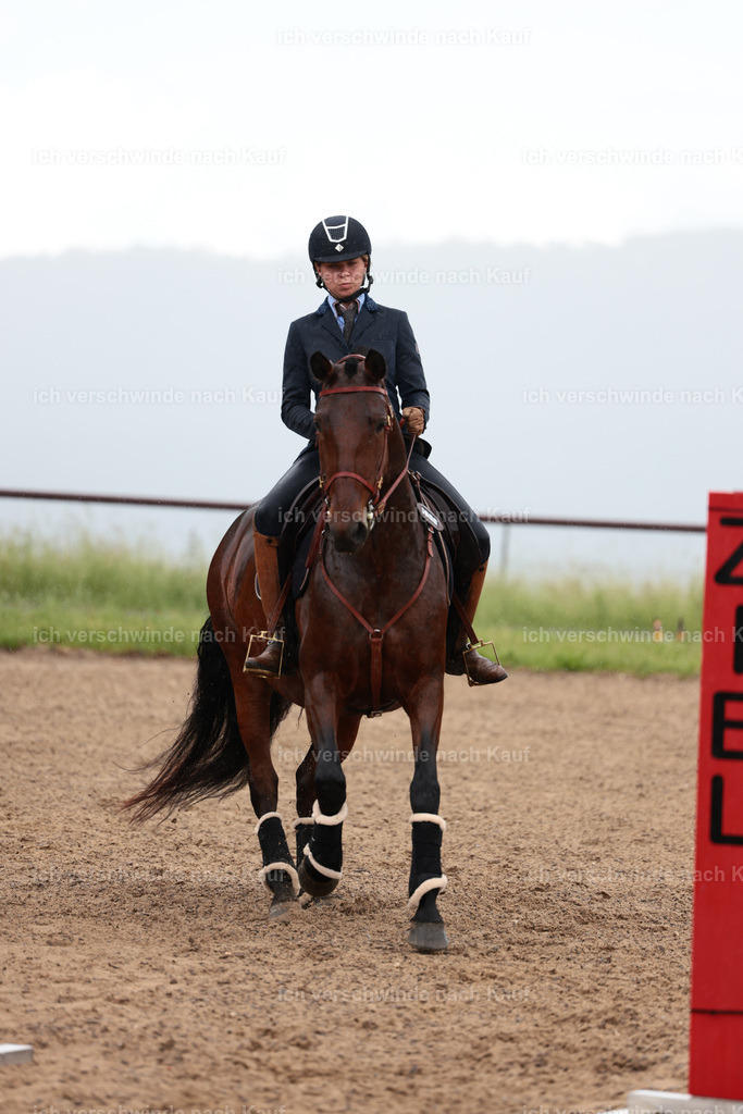 KlasseL_Stoibphotography_CAM23235.JPG | working equitationturnier fotograf videograf stoibphotography marixx film working equitation deutschland reitsport turnierfotografie eventfotografie equestrian events