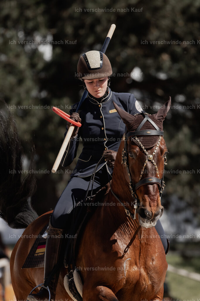 _AM18618 | working equitationturnier fotograf videograf stoibphotography marixx film working equitation deutschland reitsport turnierfotografie eventfotografie equestrian events