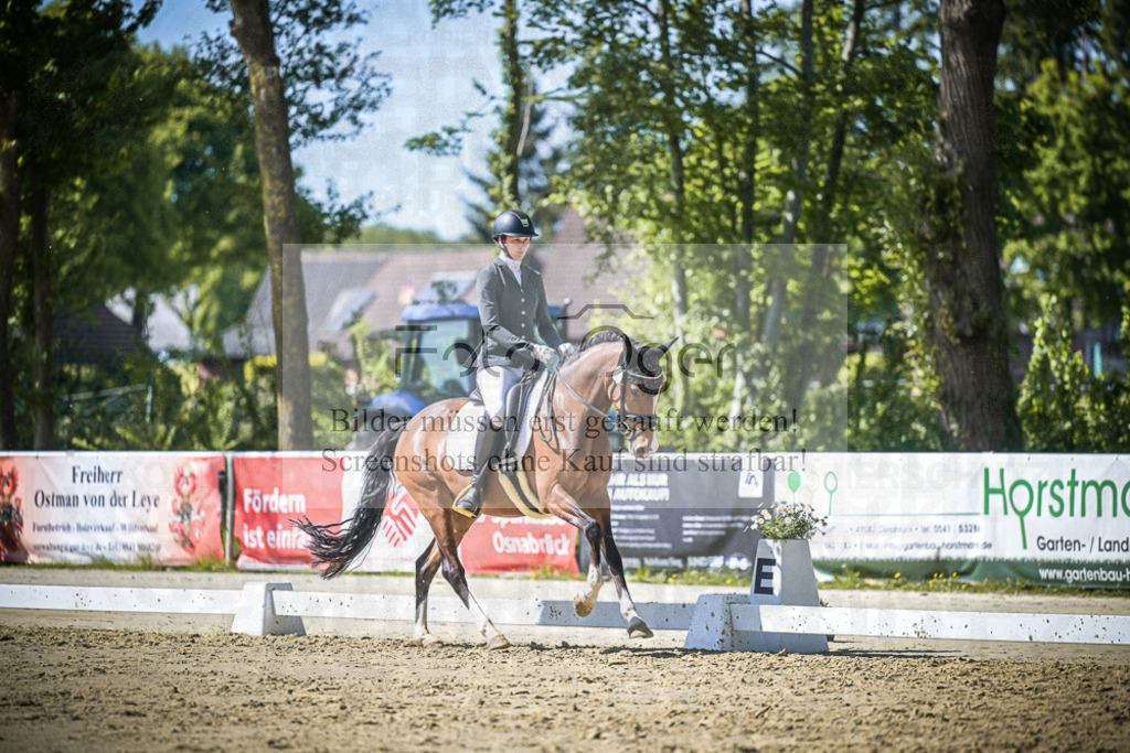 DOS_1844 | Entdecke hochwertige Reitturnierfotos von Foto Oger. Professionell, emotional und authentisch – jetzt Lieblingsmomente im Shop bestellen.Deutschlandweite Turnierfotografie. - Realisiert mit Pictrs.com