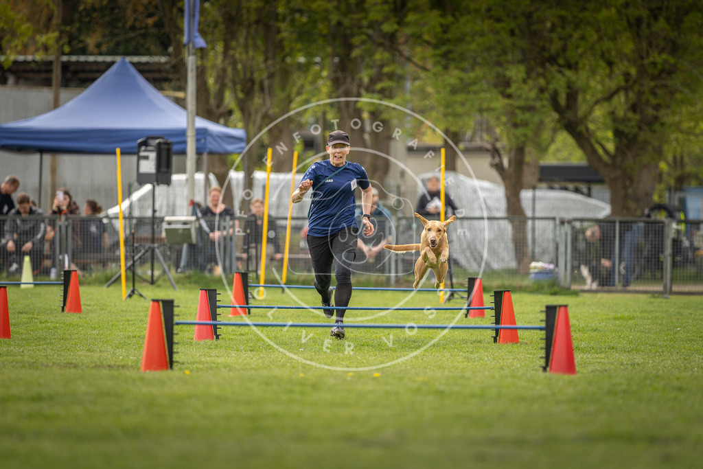 Pfotenfotografie_DV3A6275 | Hundefotografie, Tierfotograf, Pfotenfotografie, Fotoshooting Hund, Hunde Portrait, Hundesport, Hundeportraits, Heideshooting, Hunde, Sportfotograf, Hundefotograf, Turnierhundsport, THS,  - Realisiert mit Pictrs.com