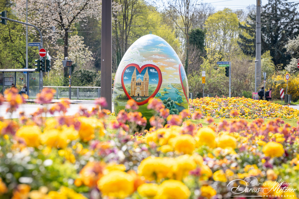 DSC_1981 | Fotografien, Fotos und Bilder aus Mainz, Frankfurt, Wiesbaden und anderen Orten auf der Welt - Fotografiert von Darius Metzner