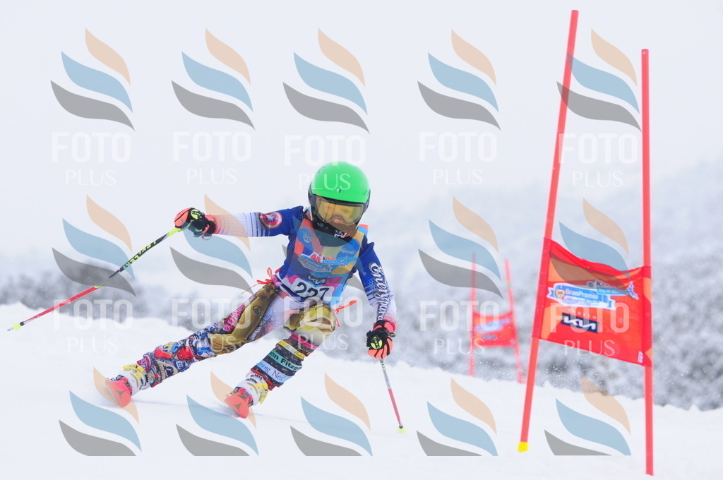 C2384 | holidayphoto