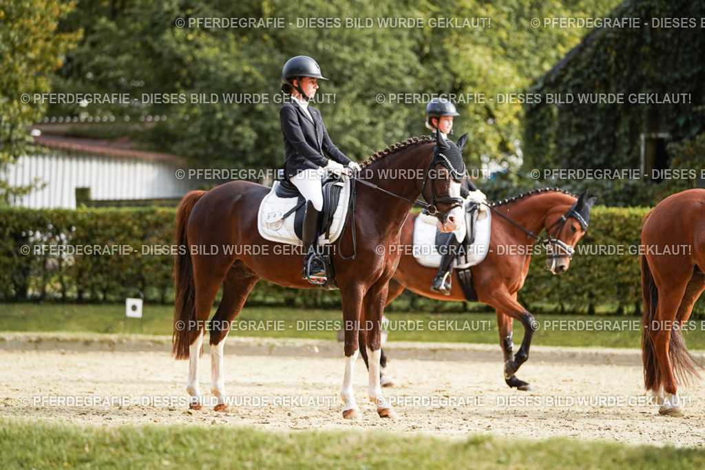 DSC05243 | Pferdegrafie