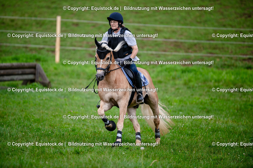 20250725_Vielseitigkeitslehrgang-Marbach_0530 | Foto: Thomas Hartig