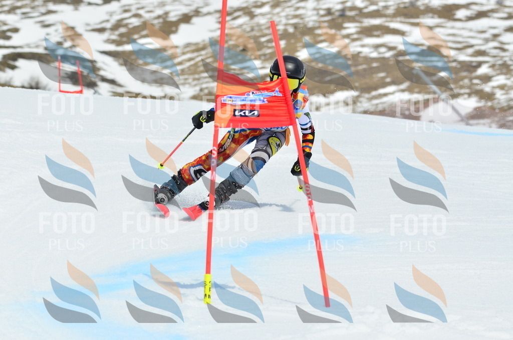 _ELE2547 | holidayphoto