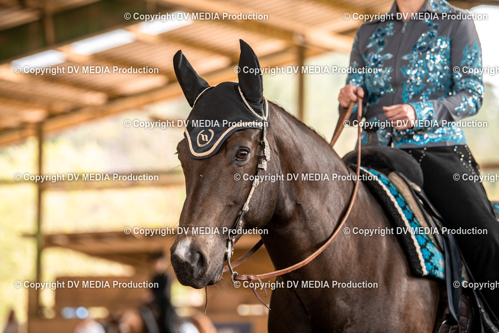 Balingen Tag 5-545 | dv-media-shop - Realisiert mit Pictrs.com