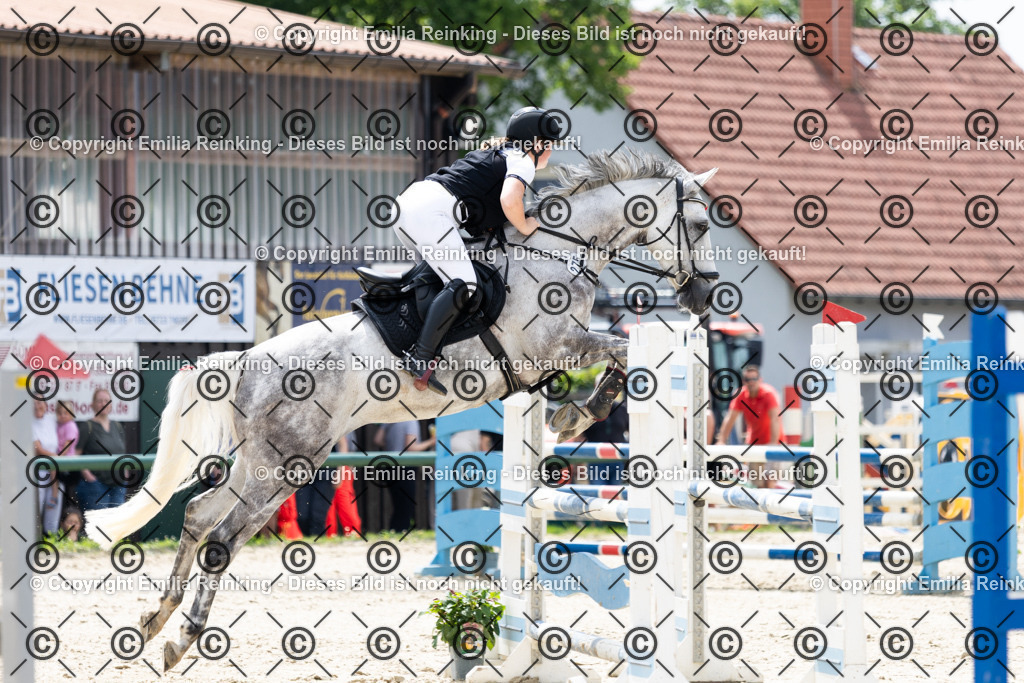 CL5A7090 | Emilia Reinking Fotografie - Realisiert mit Pictrs.com