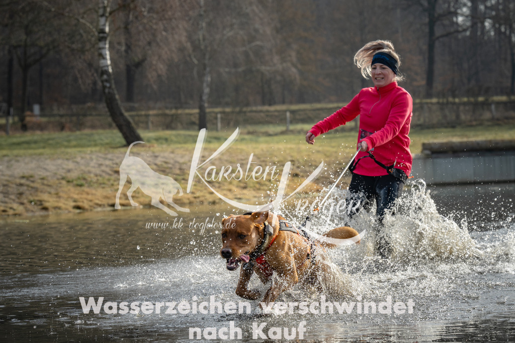 0947_ZZ93754 | kk-dogfotos