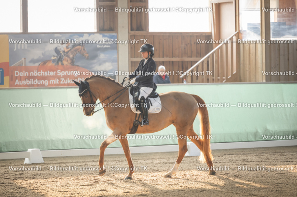 _D5A3979 | Emotionale Pferde- & People-Fotografie rund um Heidelberg, Leimen & Umgebung. Natürliche Fotos von Pferd, Mensch & Familie. Jetzt Termin sichern!