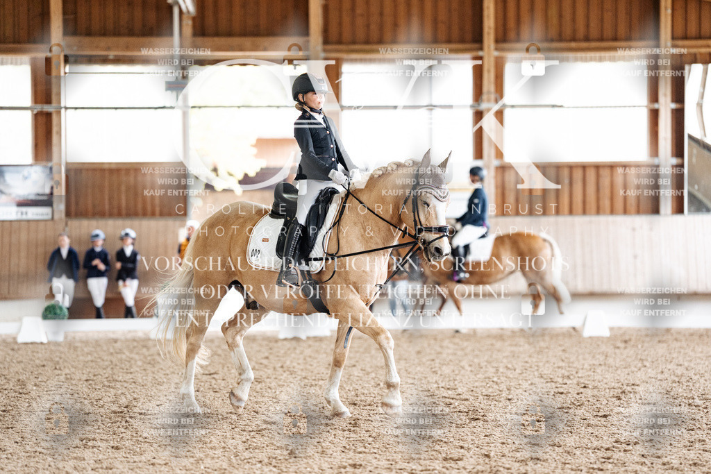 CK900454 | Turnierfotografie Pferdefotografie Trier Rheinland-Pfalz Pferdesport Reitsport Tierfotografie Sportfotografie Pferdevideo Pferdevideografie Equestrianvideography equestrianphotography  - Realisiert mit Pictrs.com