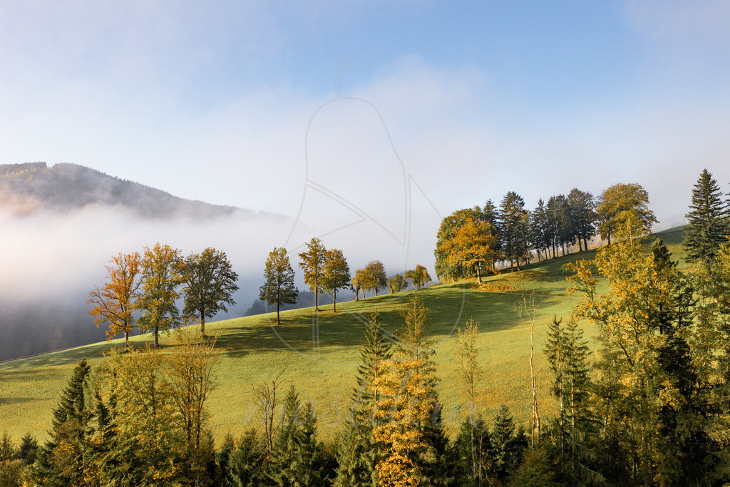 Puchberger Herbst | Ihre Fotografin im Lungau, ihre Fotografin im Mostviertel, Wandbilder Onlineshop, Imagefotos für Ihr Unternehmen,  - Realisiert mit Pictrs.com