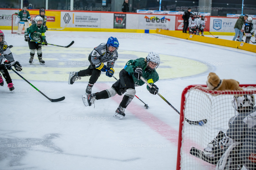 2025-03-01-Bärencup Wil-307 | "Fussifoto.com – Ihr Ansprechpartner für hochwertige Fotografie! Entdecken Sie kreative Bilder und professionelle Dienstleistungen. Kontaktieren Sie uns für Ihre Projekte!"