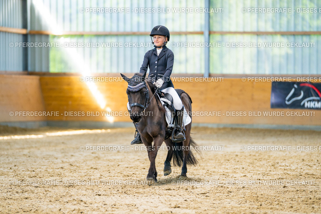 DSC06638 | Pferdegrafie