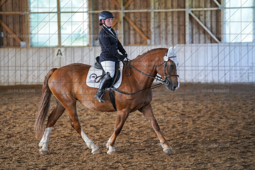 20230916-FAH08553 | Landsberg am Lech 2023, Turnierbildern, Turnierbilder Bayern, Reitsportfotograf, Pferdefotograf Bayern, Turnierfotos Landsberg, Fotoagentur Herrmann, Turnierfotografen Bayern