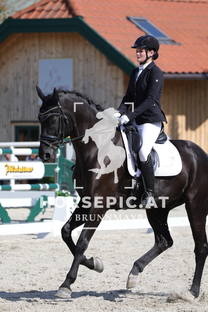 0P6A7688 | Willkommen bei Brunnmayr - Design & Fotografie – Ihrem Spezialisten für Reitturniere und Pferdeveranstaltungen in Oberösterreich, Salzburg und Bayern! Seit über 17 Jahren sind wir leidenschaftlich dabei.