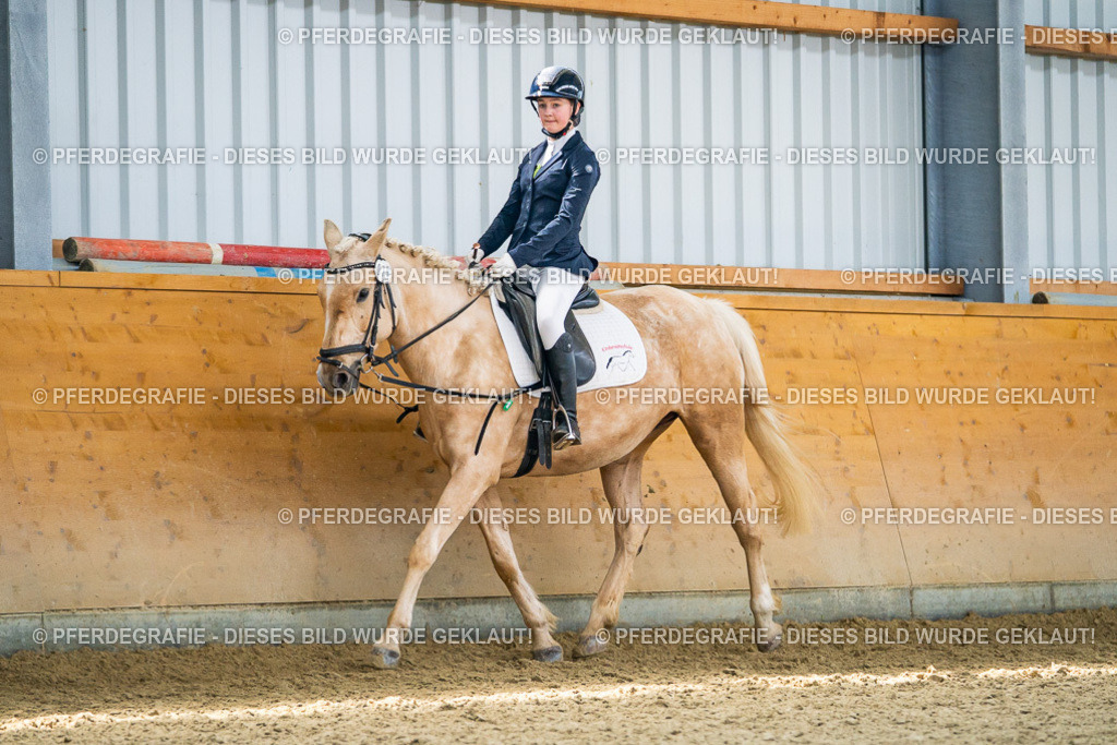 DSC03672 | Pferdegrafie