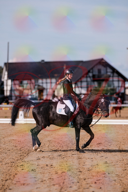 2026_10_03_Siefer-Hof_115747_Z81_98491991 | Professionelle Reitsport-, Turnier- und Eventfotografie von Robert Broda. Galerien mit ausgewählten und bearbeiteten Bildern direkt online ansehen und bestellen.