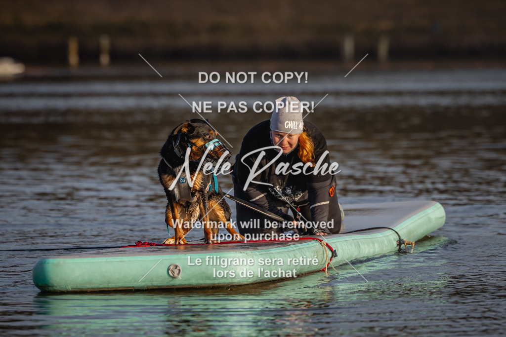 nelerasche_Hulsbeek_Sa1700-1730_162 | nelerasche