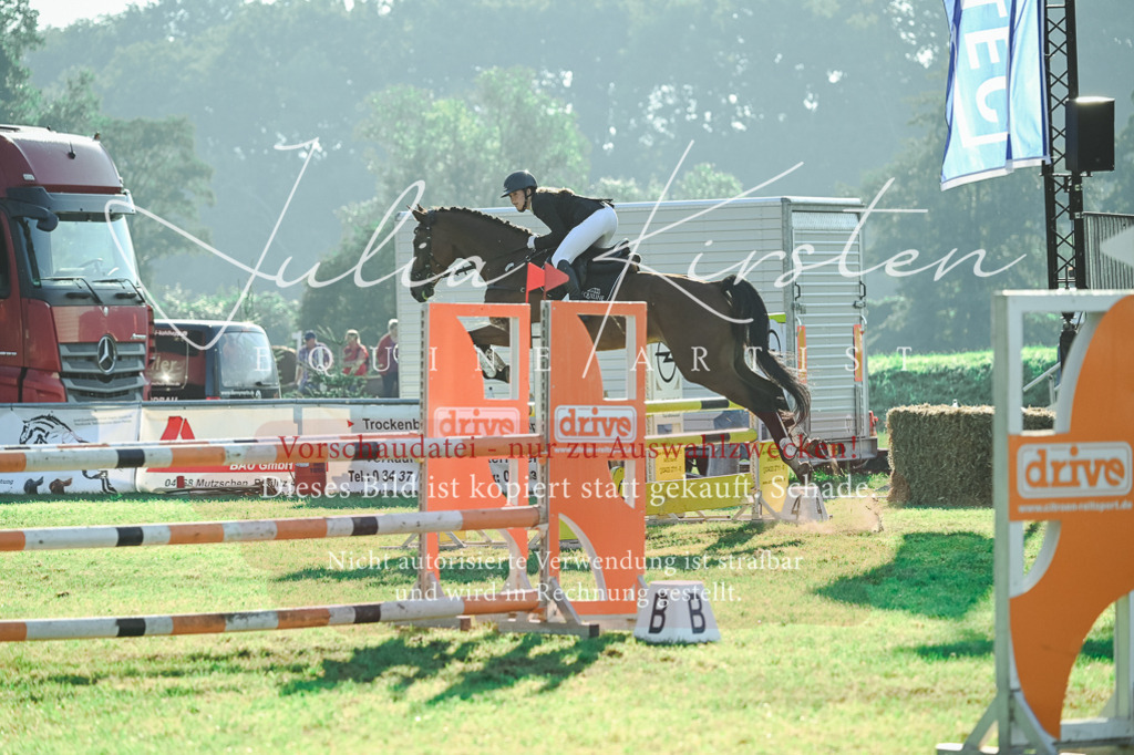 DSC_4517 | Pferde- und Turnierfotografie in Westsachsen. Pferdeportraits, Auftragszeichnungen und intuitive Kunst.