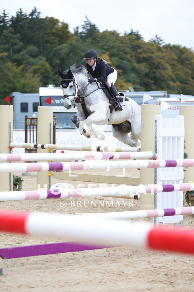 0P6A0479 | Willkommen bei Brunnmayr - Design & Fotografie – Ihrem Spezialisten für Reitturniere und Pferdeveranstaltungen in Oberösterreich, Salzburg und Bayern! Seit über 17 Jahren sind wir leidenschaftlich dabei.