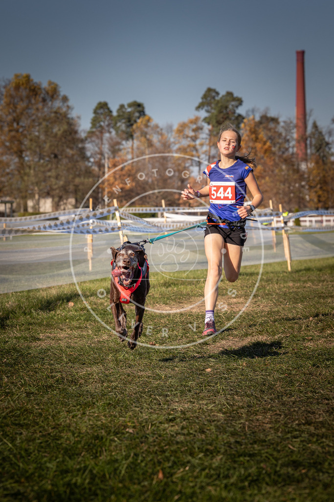 CaniXpix_0L8A7595 | Hundefotografie, Tierfotograf, Pfotenfotografie, Fotoshooting Hund, Hunde Portrait, Hundesport, Hundeportraits, Heideshooting, Hunde, Sportfotograf, Hundefotograf, Turnierhundsport, THS,  - Realisiert mit Pictrs.com