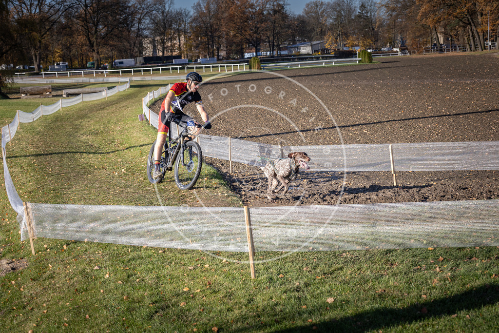 CaniXpix_DV3A2880 | Hundefotografie, Tierfotograf, Pfotenfotografie, Fotoshooting Hund, Hunde Portrait, Hundesport, Hundeportraits, Heideshooting, Hunde, Sportfotograf, Hundefotograf, Turnierhundsport, THS,  - Realisiert mit Pictrs.com