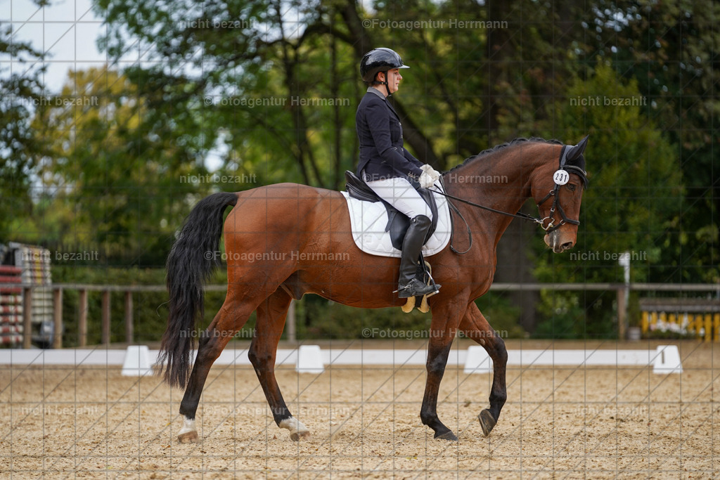 20231007-SN_00685 | Diessen am Ammersee, 2023, Dressur- und Springturnier, Reitsport, Turnierfotografie, Pferdebilder, Reitbilder, Turnierfotografen Bayern, Fotoagentur Herrmann