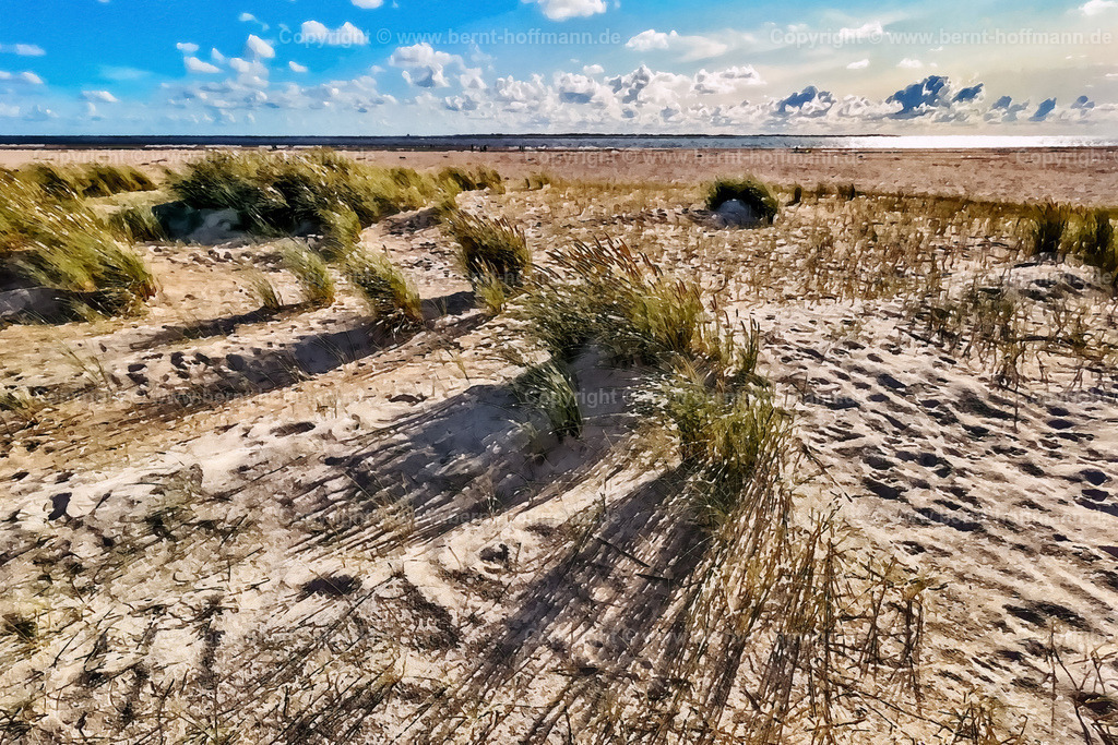 PDM2_6643_DK_Roem_Duenengras_150x100 | DIGITALKUNST. Dünengräser am Nordseestrand -02. __ Vegetation auf den westlichen Sanddünen der dänischen Nordsee -Insel Roem im Gegenlicht. __ Seitenverhältnis = 3 zu 2. __ Druckbar ist dieses Bild aber auch in vielen kleineren Formaten sowie in frei wählbaren Bildausschnitten. - Realisiert mit Pictrs.com