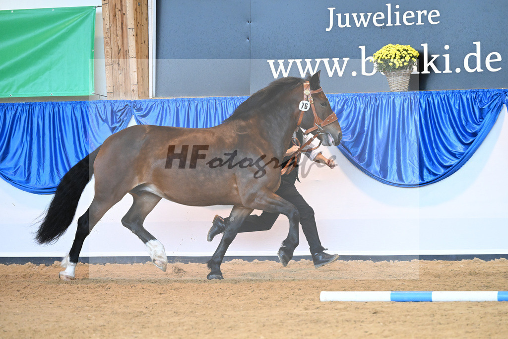 Kat-Nr. 76 Pipa_Gasteiger_53220362 | hf-fotografie - Realisiert mit Pictrs.com