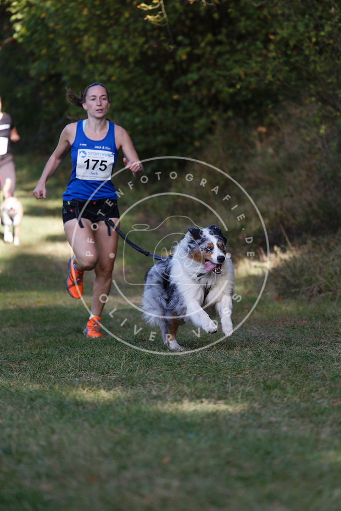 0L8A5586 | Hundefotografie, Tierfotograf, Pfotenfotografie, Fotoshooting Hund, Hunde Portrait, Hundesport, Hundeportraits, Heideshooting, Hunde, Sportfotograf, Hundefotograf, Turnierhundsport, THS,  - Realisiert mit Pictrs.com