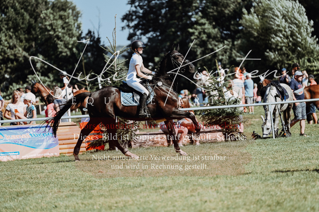 DSC_6667 | Pferde- und Turnierfotografie in Westsachsen. Pferdeportraits, Auftragszeichnungen und intuitive Kunst.