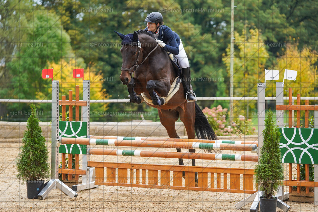 20221009-FAH08803 | Diessen am Ammersee, 2022, Dressur- und Springturnier, Reitsportbilder, Turnierfotografen Bayern, Pferdefotografen, Fotoagentur Herrmann, Turnierbilder
