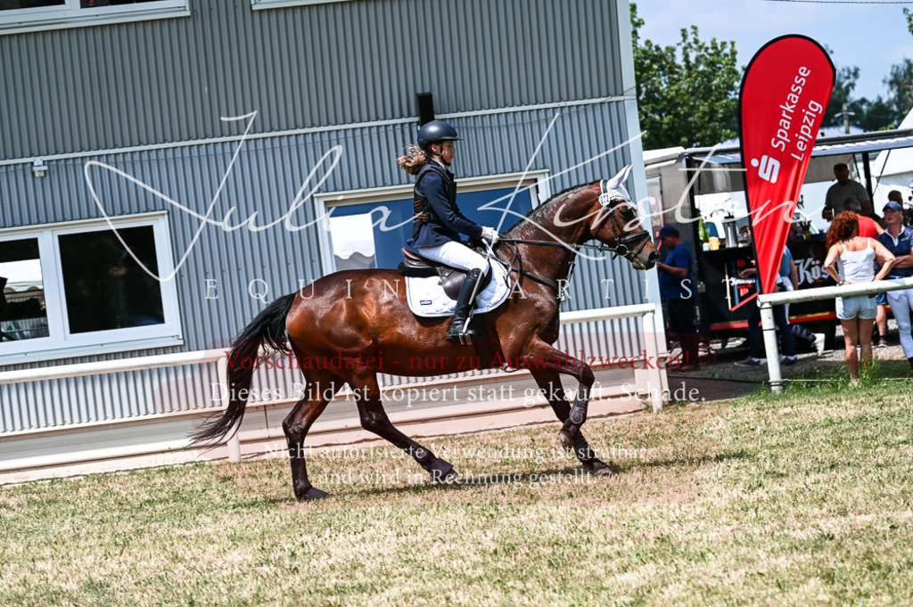 DSC_9589 | Pferde- und Turnierfotografie in Westsachsen. Pferdeportraits, Auftragszeichnungen und intuitive Kunst.