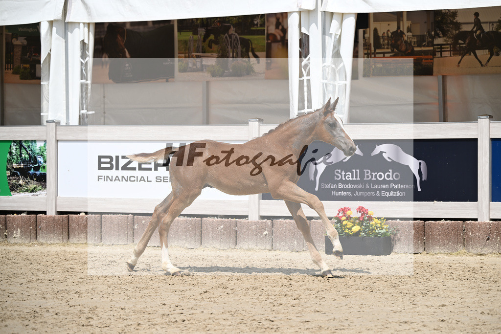 Arezzo Man x Clearway_HF_Maier u Mayerfoels_12250690 | hf-fotografie - Realisiert mit Pictrs.com