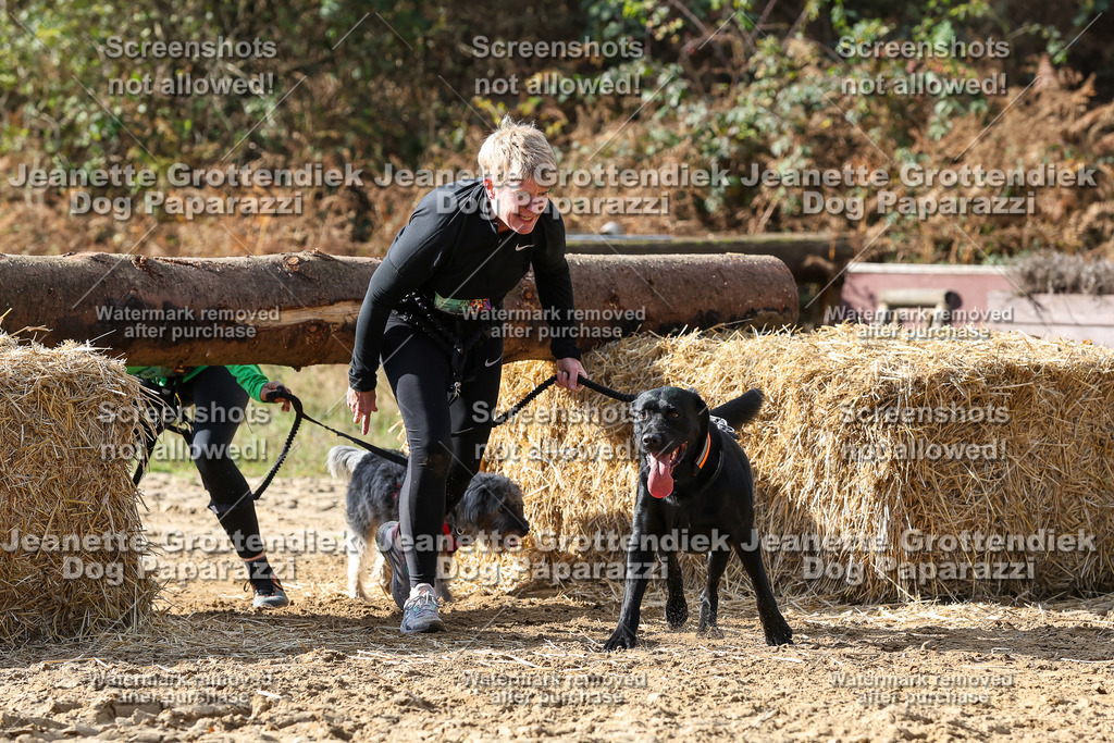 Dog Paparazzi - Strongdog 10-25-5253 | Dog Paparazzi Jeanette Grottendiek Fotografie & Videografie - Realisiert mit Pictrs.com