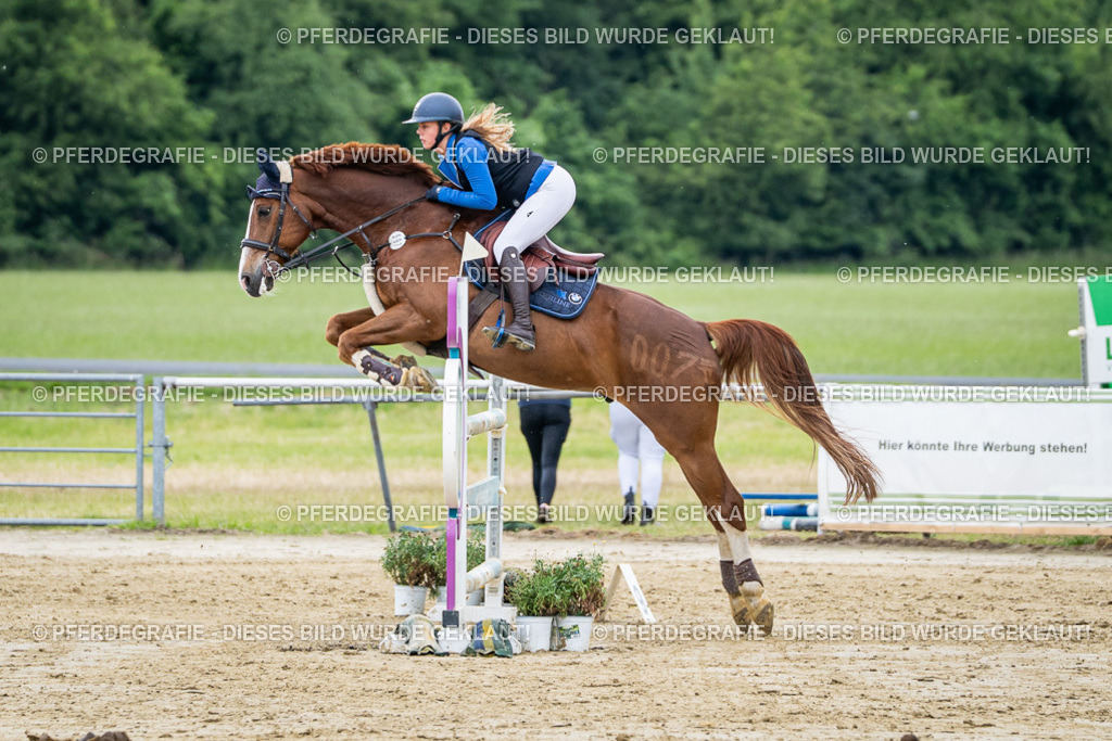 DSC04408 | Pferdegrafie