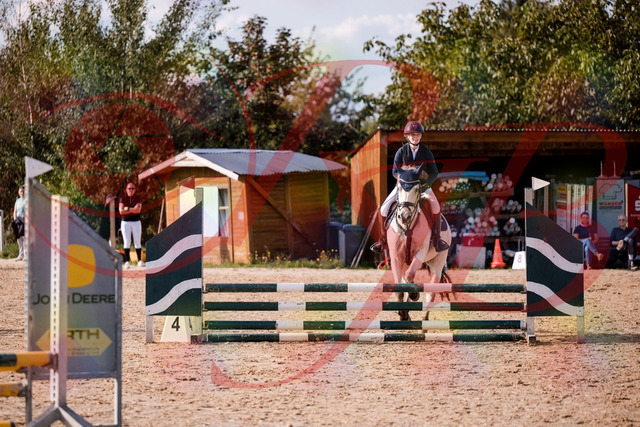 2026_10_03_Siefer-Hof_154519_Z81_63610427 | Professionelle Reitsport-, Turnier- und Eventfotografie von Robert Broda. Galerien mit ausgewählten und bearbeiteten Bildern direkt online ansehen und bestellen.