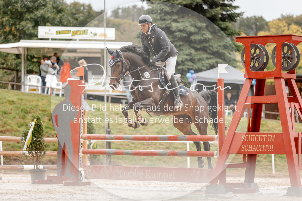 3I6A5890 | Stimmungsvolle Portraits und Reitsportfotografie im Ruhrgebiet und im Münsterland.

Pferdefotografie, Hundefotografie, Tierfotografie, Reportagen, Portraits von Tier und Mensch, Turnierfotografie in Bochum, Recklinghausen, Marl, Haltern am See, Dülmen.. - Realisiert mit Pictrs.com