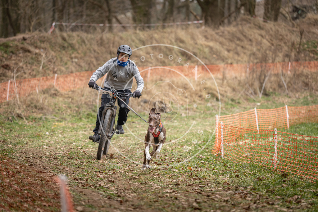 Pfotenfotografie_DV3A6897 | Hundefotografie, Tierfotograf, Pfotenfotografie, Fotoshooting Hund, Hunde Portrait, Hundesport, Hundeportraits, Heideshooting, Hunde, Sportfotograf, Hundefotograf, Turnierhundsport, THS,  - Realisiert mit Pictrs.com