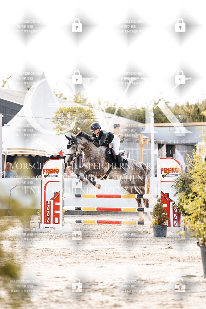 CK906606 | Turnierfotografie Pferdefotografie Trier Rheinland-Pfalz Pferdesport Reitsport Tierfotografie Sportfotografie Pferdevideo Pferdevideografie Equestrianvideography equestrianphotography  - Realisiert mit Pictrs.com