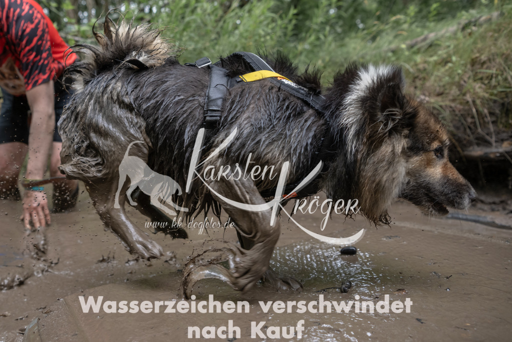 1328_ZZ94168 | kk-dogfotos