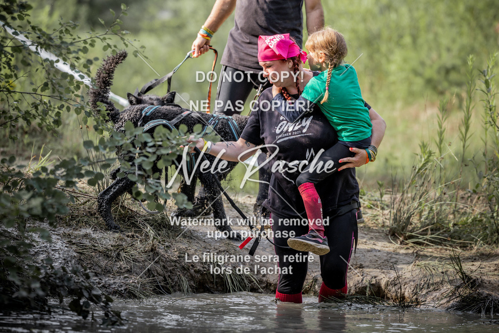 nelerasche_so0800-0930_54 | nelerasche